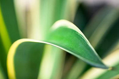 多角度欣赏！《战地6》推出武器“自由视角”功能 